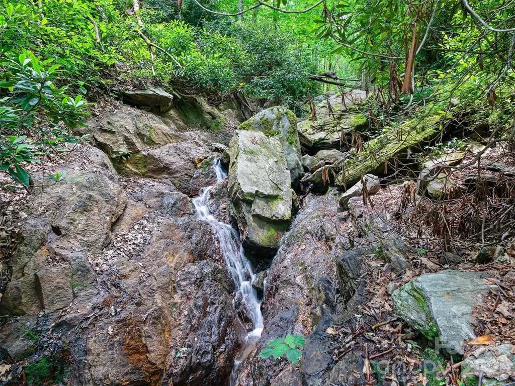 000 Ogles Gap Road Burnsville NC 28714