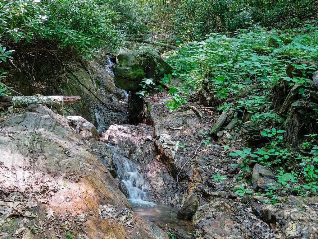 000 Ogles Gap Road Burnsville NC 28714