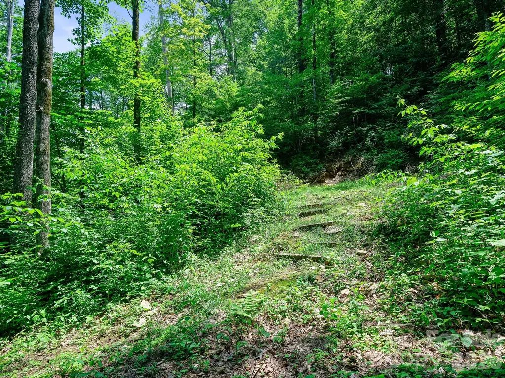 000 Ogles Gap Road Burnsville NC 28714