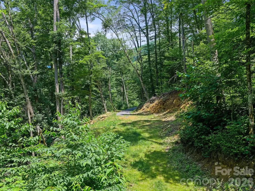 000 Ogles Gap Road Burnsville NC 28714