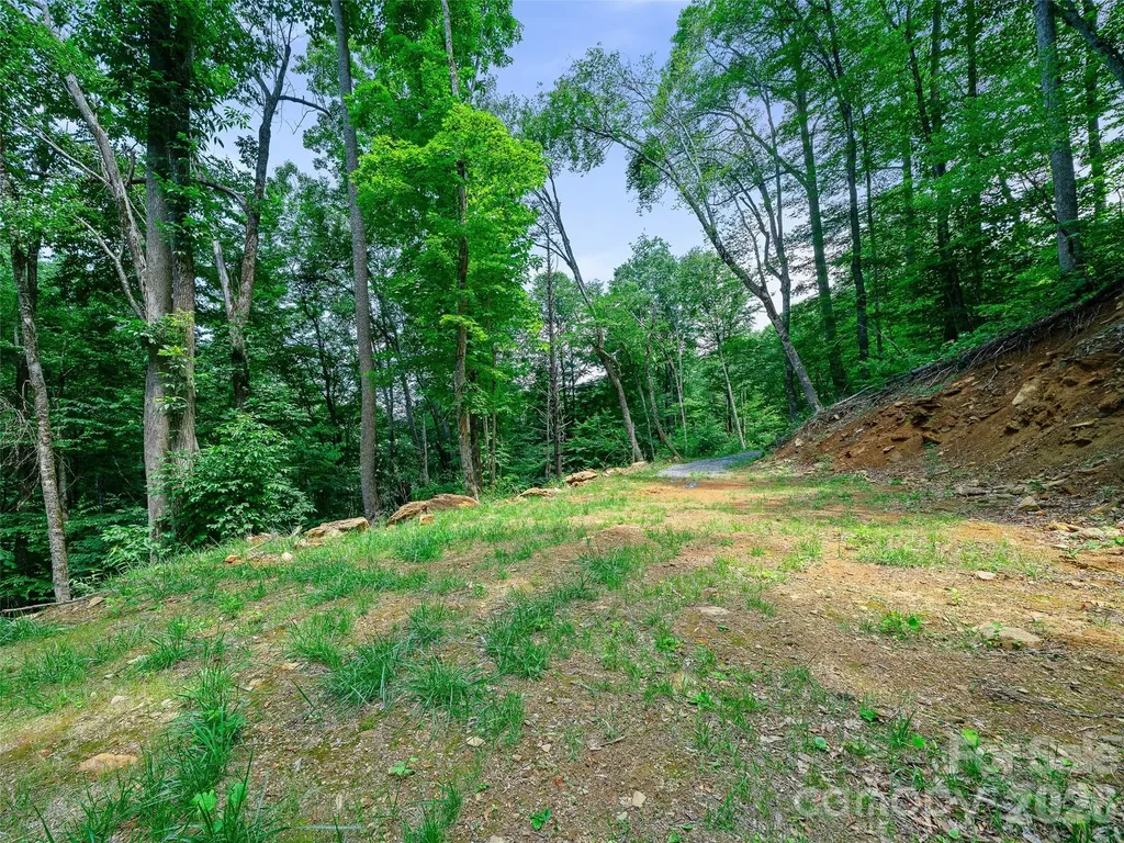 000 Ogles Gap Road Burnsville NC 28714