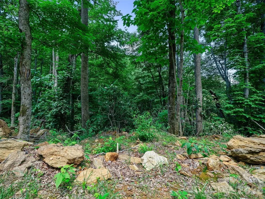 000 Ogles Gap Road Burnsville NC 28714