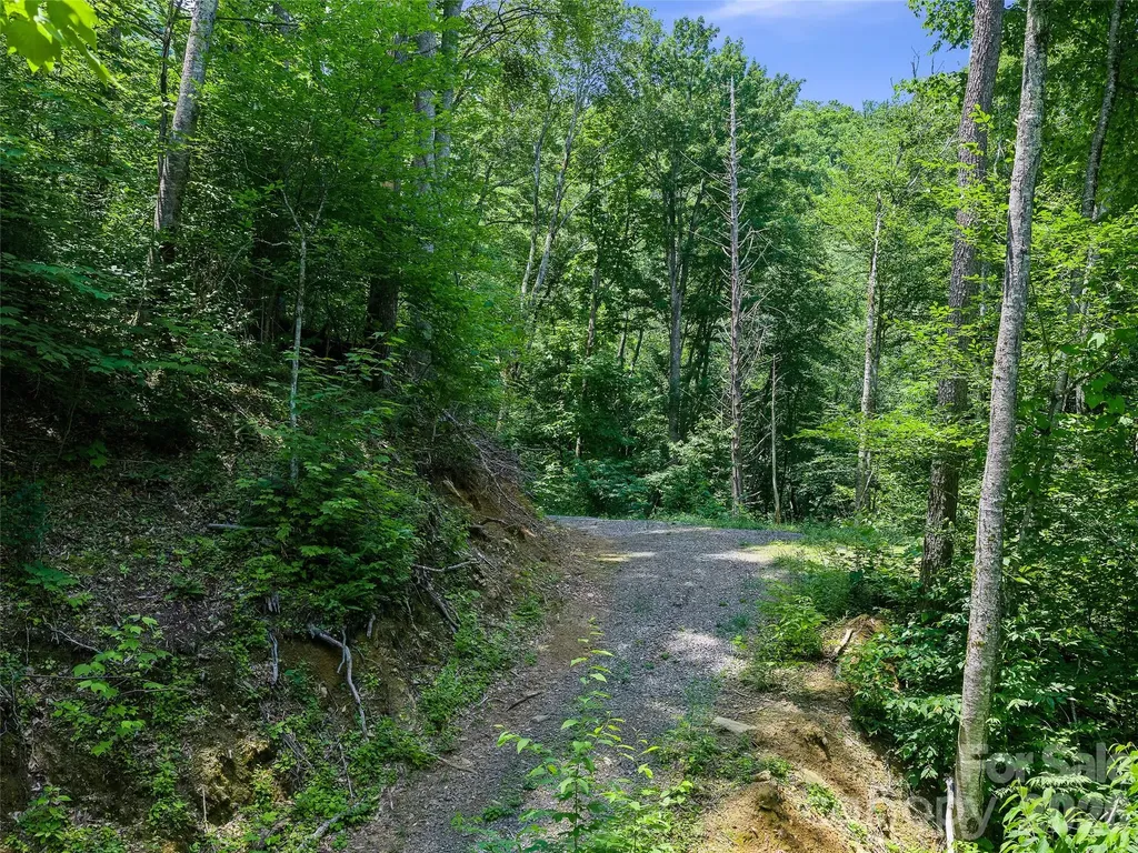 000 Ogles Gap Road Burnsville NC 28714