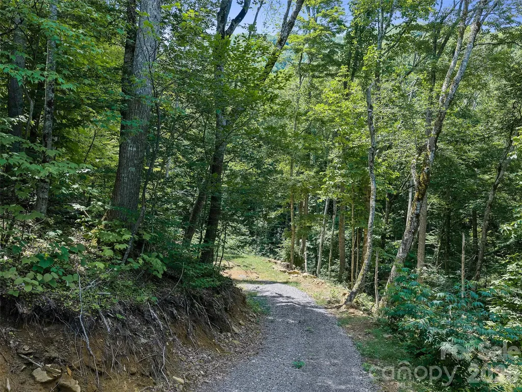 000 Ogles Gap Road Burnsville NC 28714