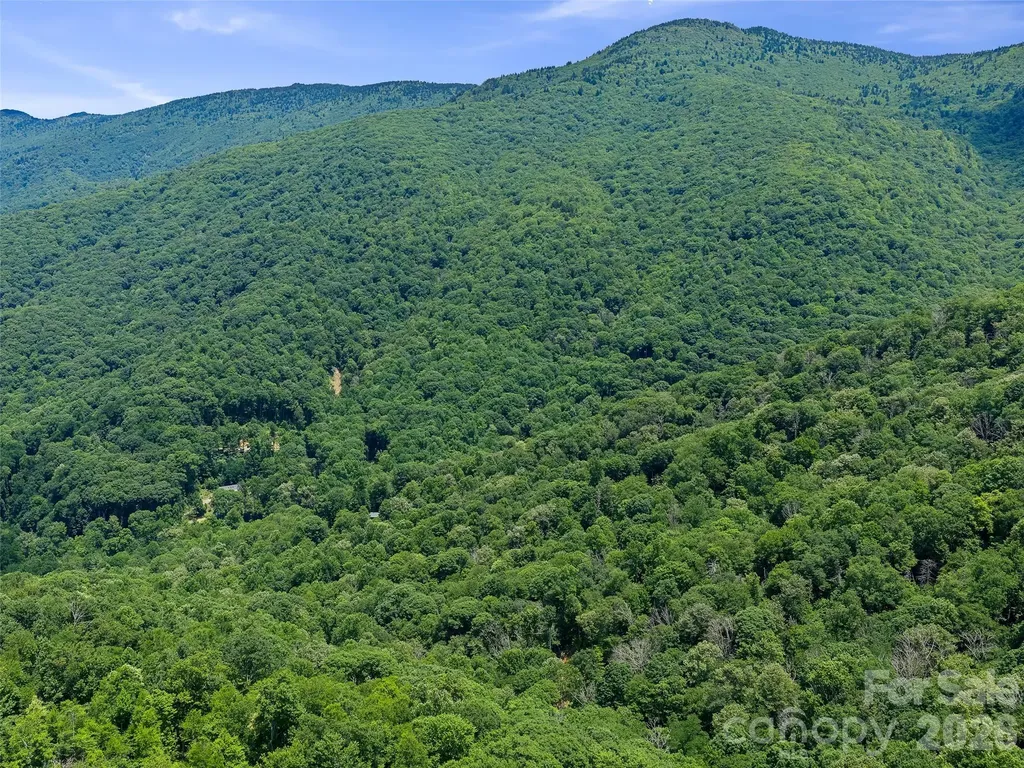 000 Ogles Gap Road Burnsville NC 28714