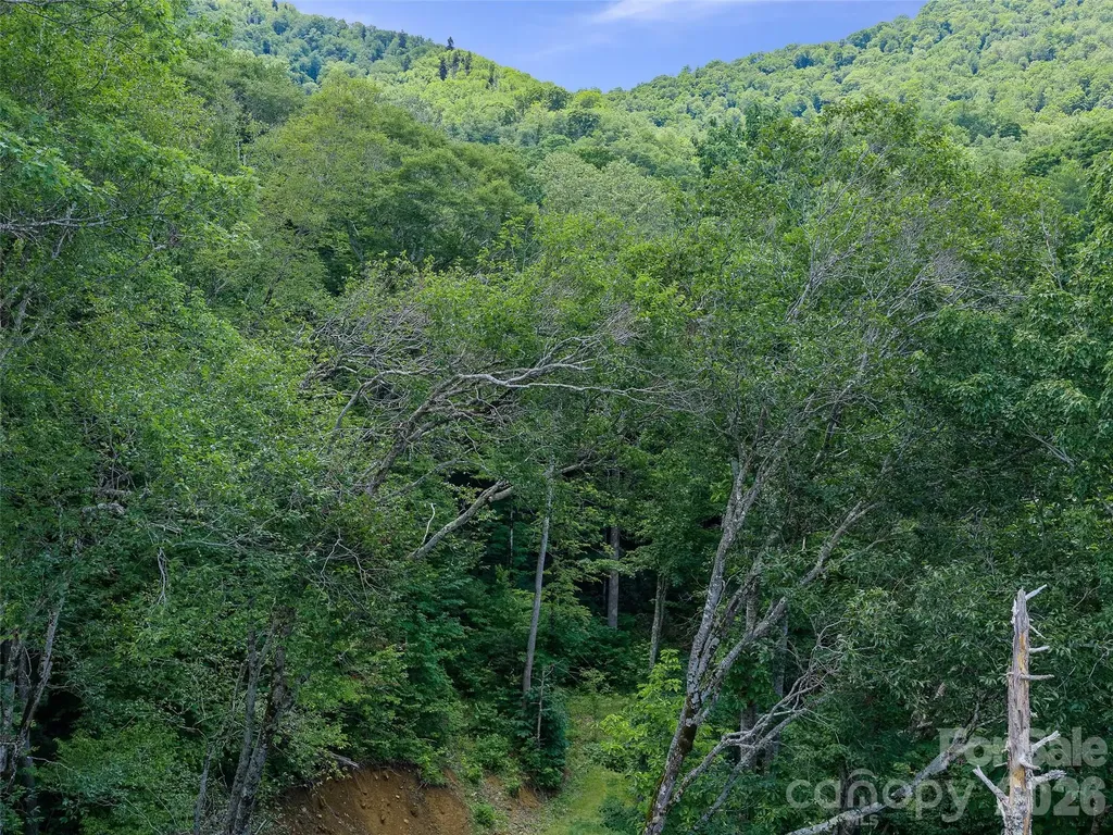 000 Ogles Gap Road Burnsville NC 28714