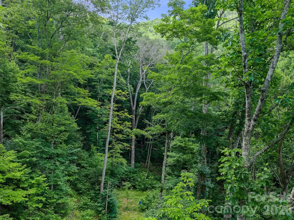 000 Ogles Gap Road Burnsville NC 28714