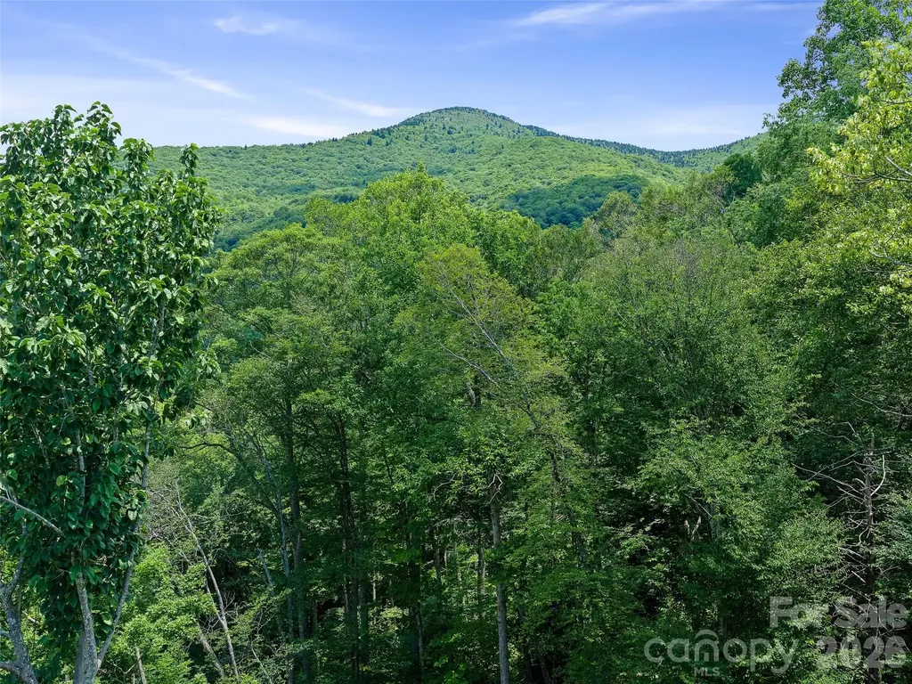 000 Ogles Gap Road Burnsville NC 28714