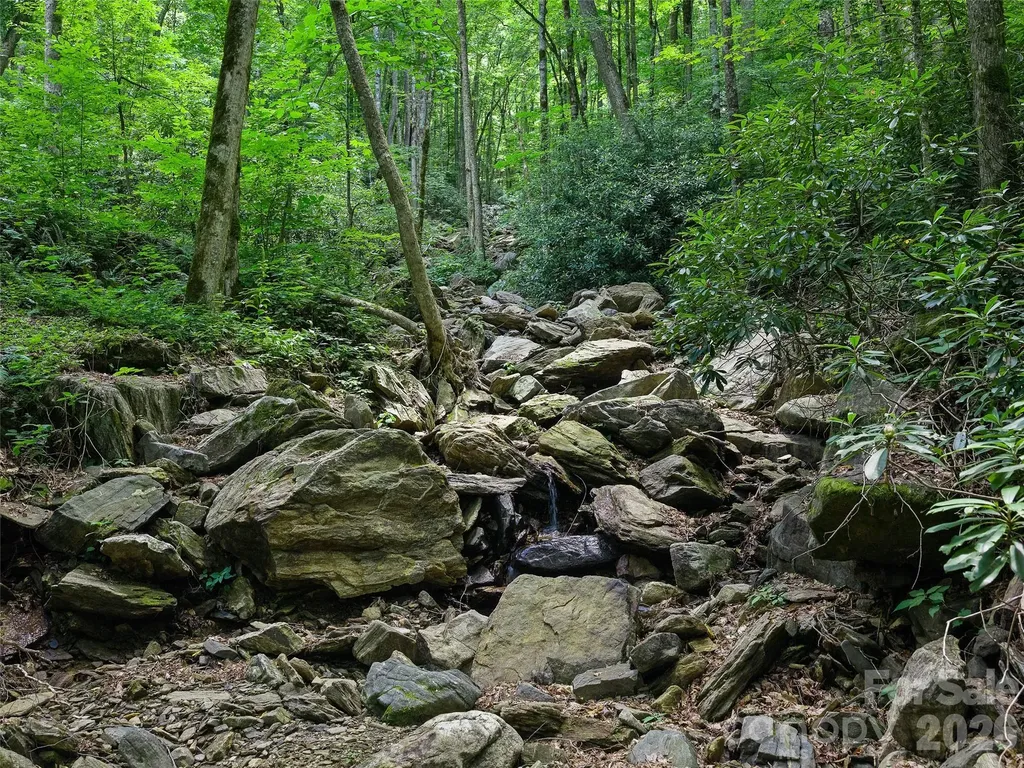000 Ogles Gap Road Burnsville NC 28714