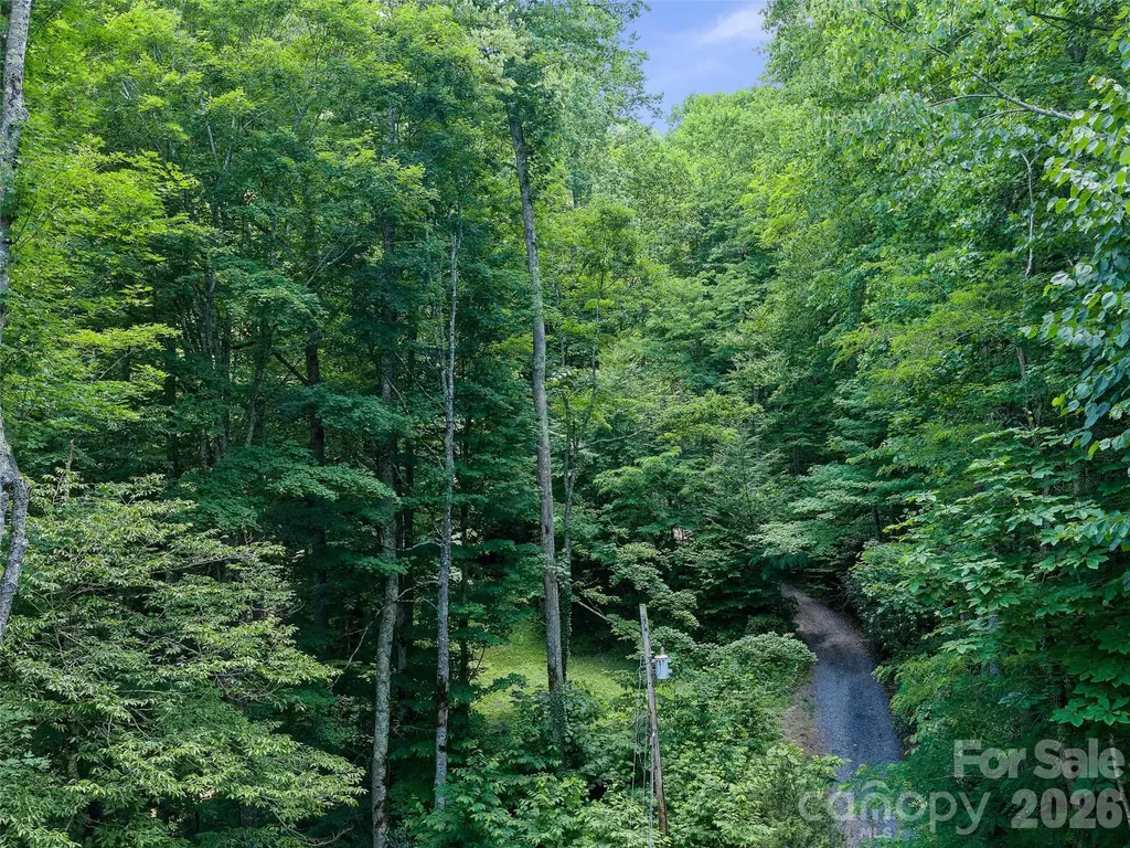 000 Ogles Gap Road Burnsville NC 28714