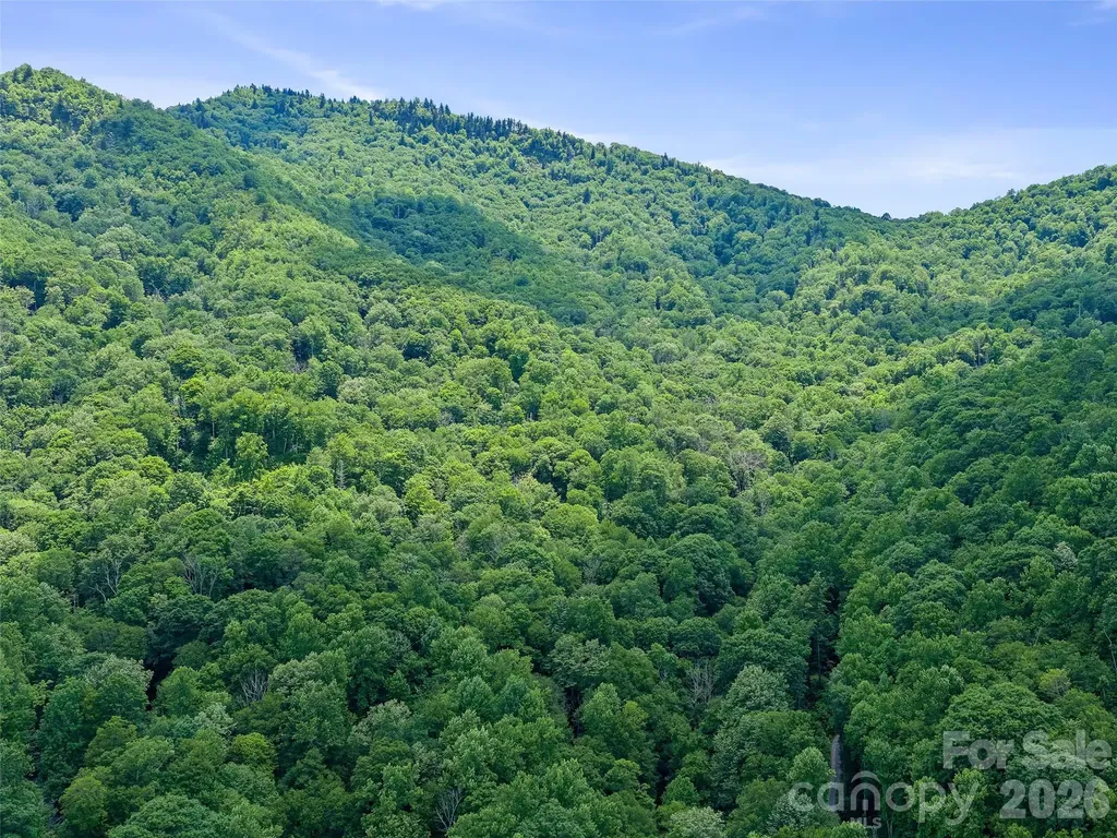 000 Ogles Gap Road Burnsville NC 28714