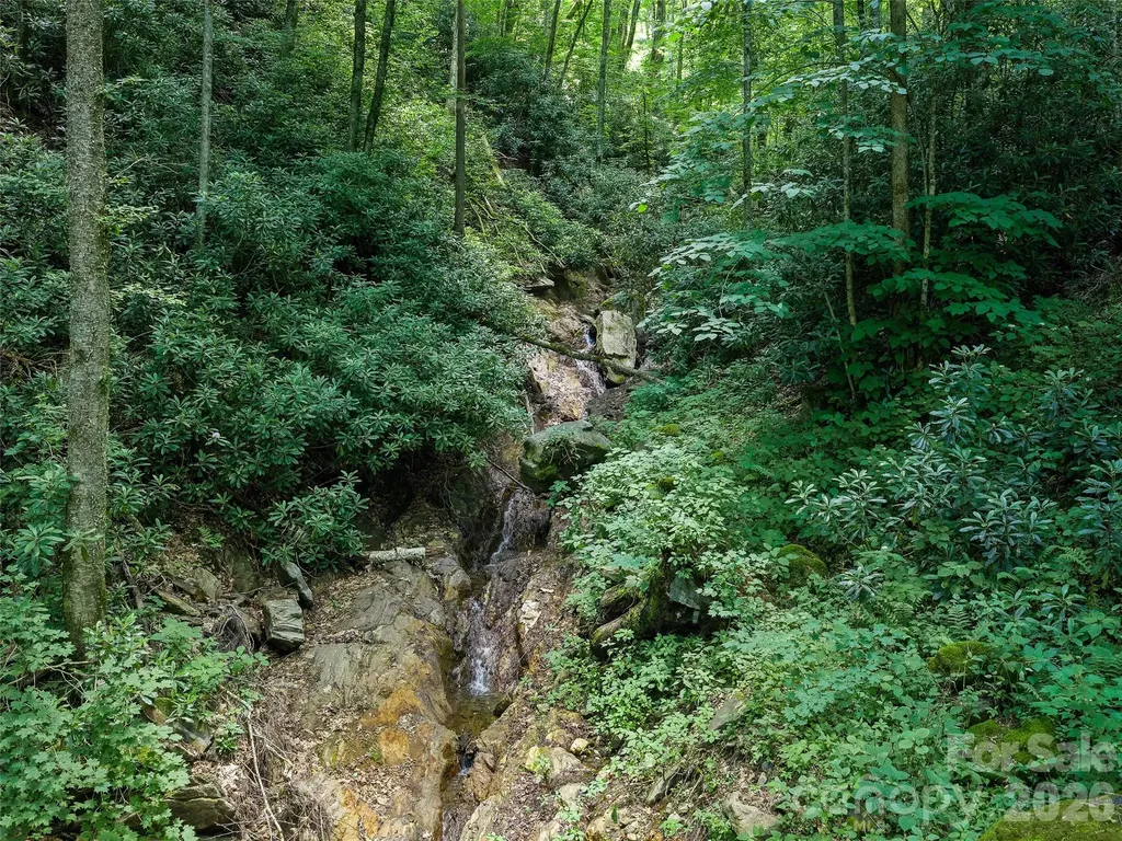 000 Ogles Gap Road Burnsville NC 28714