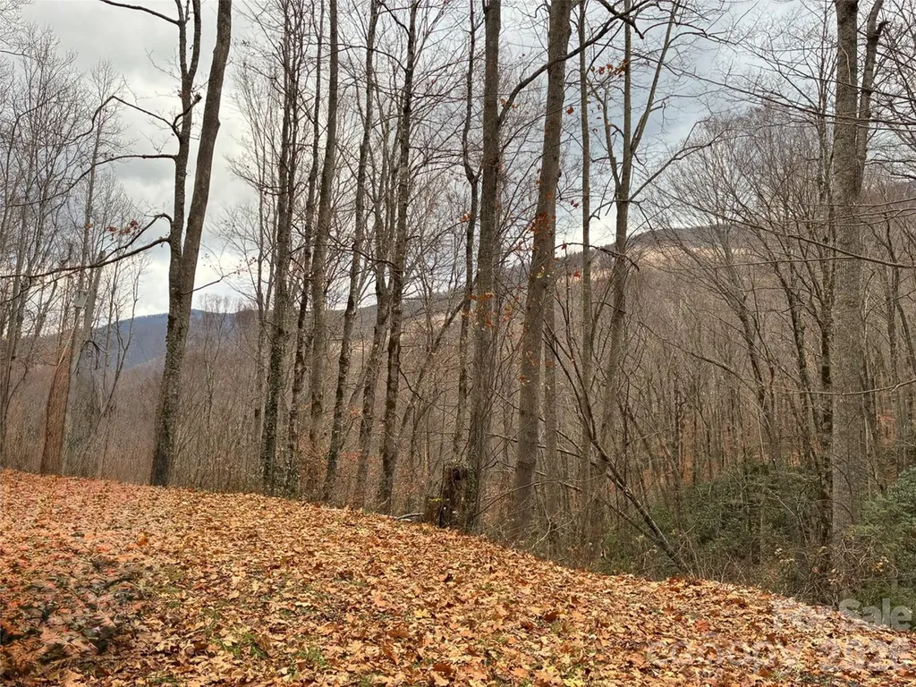 000 Ogles Gap Road Burnsville NC 28714
