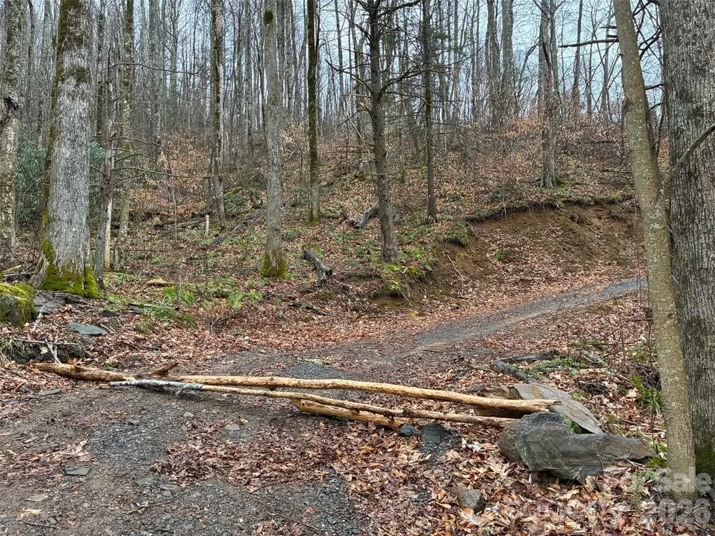 000 Ogles Gap Road Burnsville NC 28714