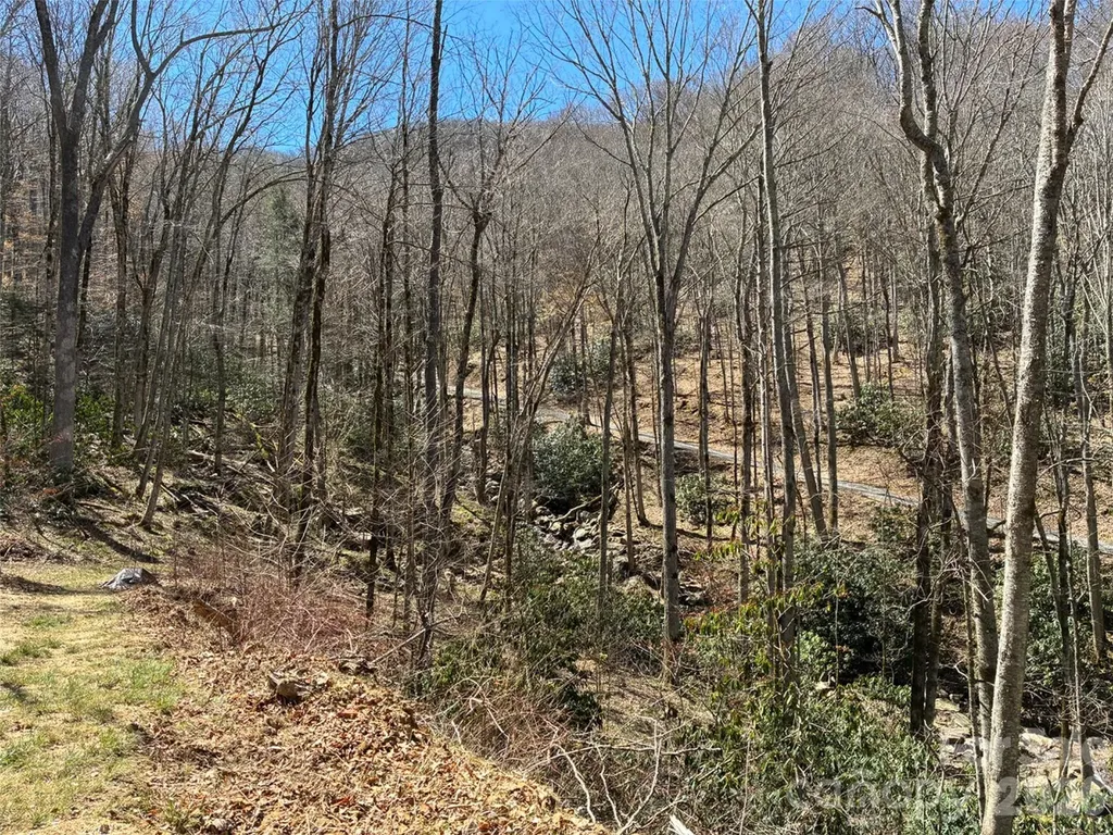000 Ogles Gap Road Burnsville NC 28714
