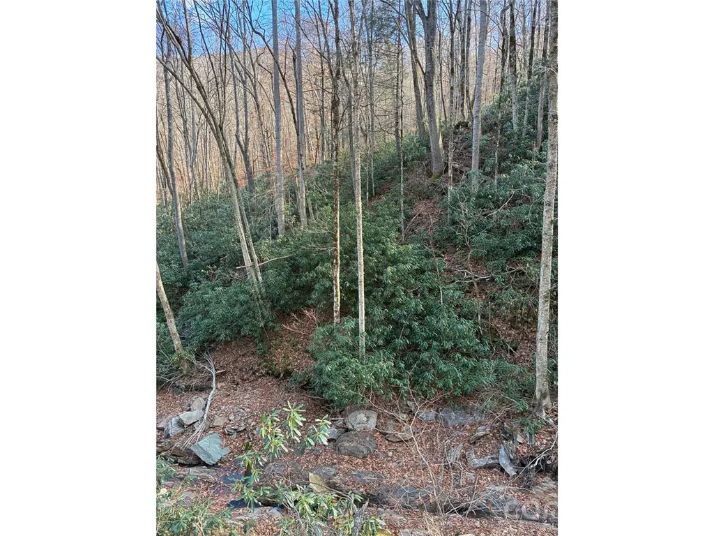 000 Ogles Gap Road Burnsville NC 28714