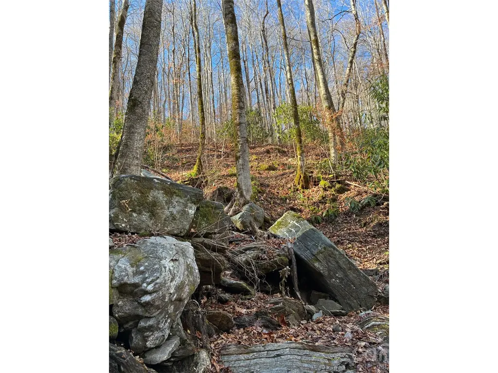 000 Ogles Gap Road Burnsville NC 28714