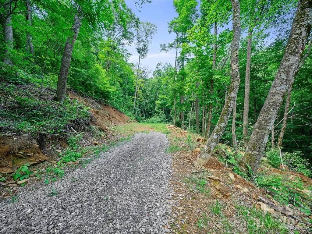 000 Ogles Gap Road Burnsville NC 28714