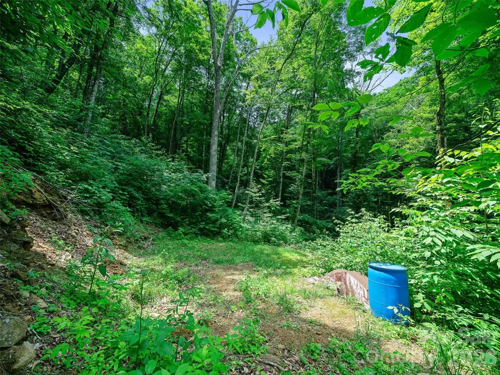 000 Ogles Gap Road Burnsville NC 28714