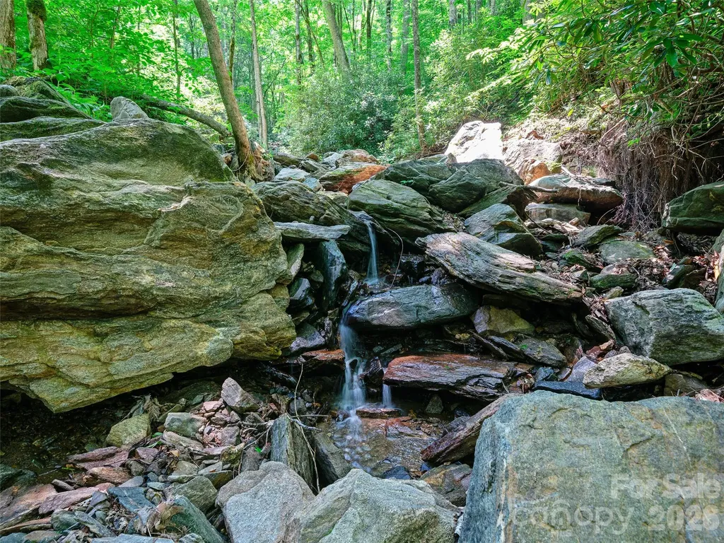 000 Ogles Gap Road Burnsville NC 28714
