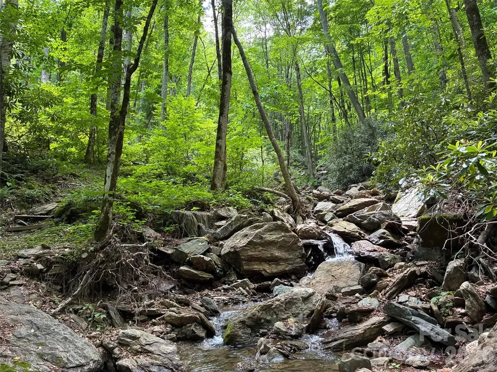 000 Ogles Gap Road Burnsville NC 28714