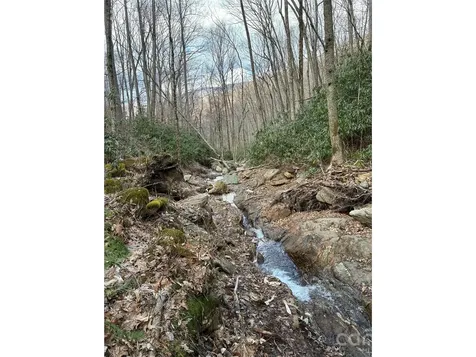 000 Ogles Gap Road Burnsville NC 28714