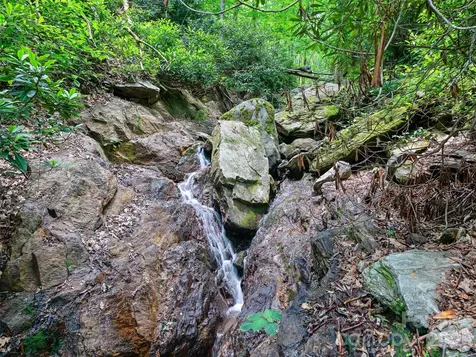 000 Ogles Gap Road Burnsville NC 28714