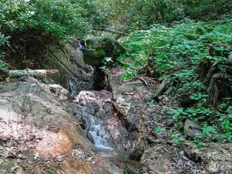 000 Ogles Gap Road Burnsville NC 28714