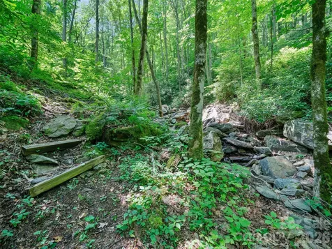 000 Ogles Gap Road Burnsville NC 28714