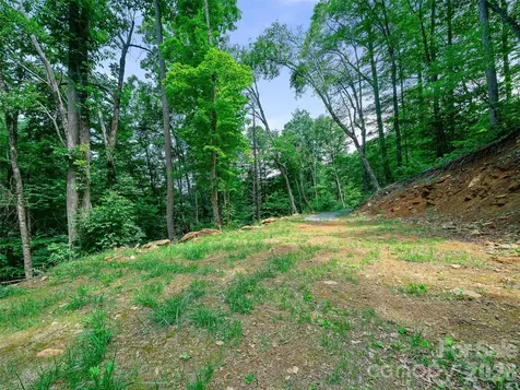 000 Ogles Gap Road Burnsville NC 28714