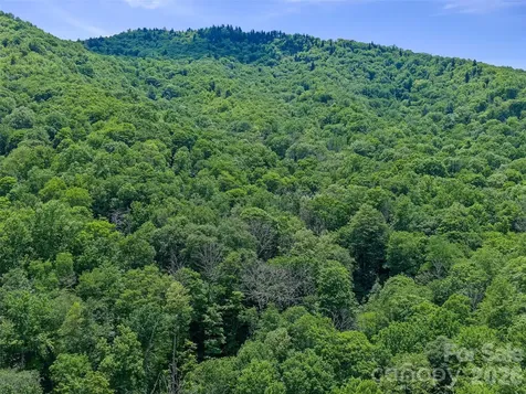 000 Ogles Gap Road Burnsville NC 28714