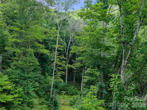 000 Ogles Gap Road Burnsville NC 28714