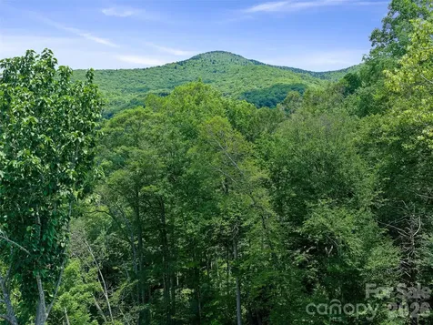 000 Ogles Gap Road Burnsville NC 28714
