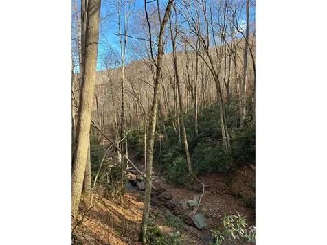 000 Ogles Gap Road Burnsville NC 28714