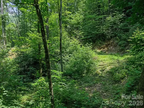 000 Ogles Gap Road Burnsville NC 28714