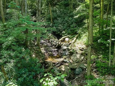 000 Ogles Gap Road Burnsville NC 28714