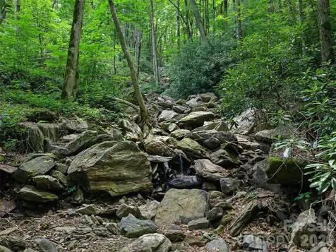 000 Ogles Gap Road Burnsville NC 28714