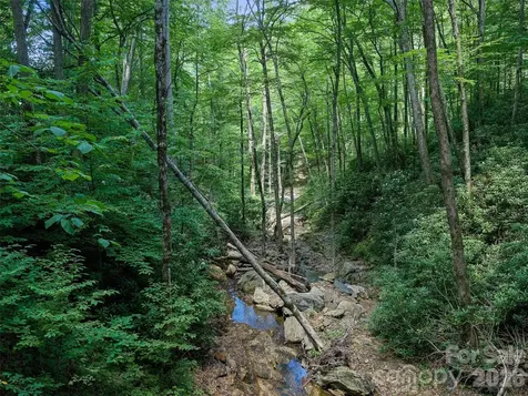 000 Ogles Gap Road Burnsville NC 28714