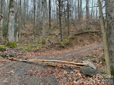 000 Ogles Gap Road Burnsville NC 28714