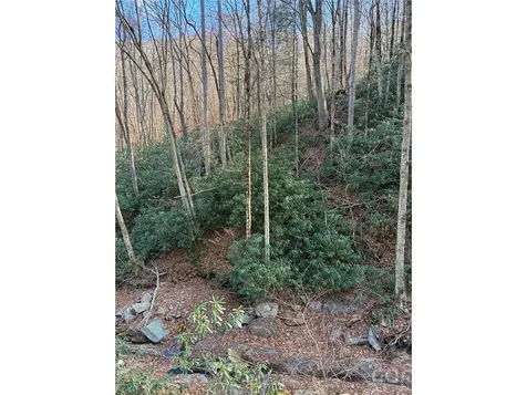 000 Ogles Gap Road Burnsville NC 28714