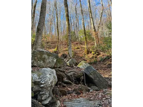 000 Ogles Gap Road Burnsville NC 28714