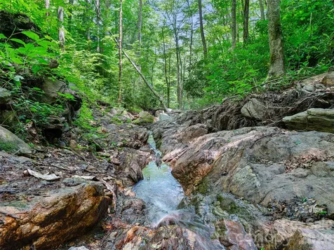 000 Ogles Gap Road Burnsville NC 28714