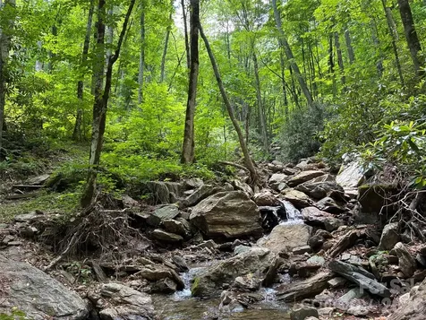 000 Ogles Gap Road Burnsville NC 28714