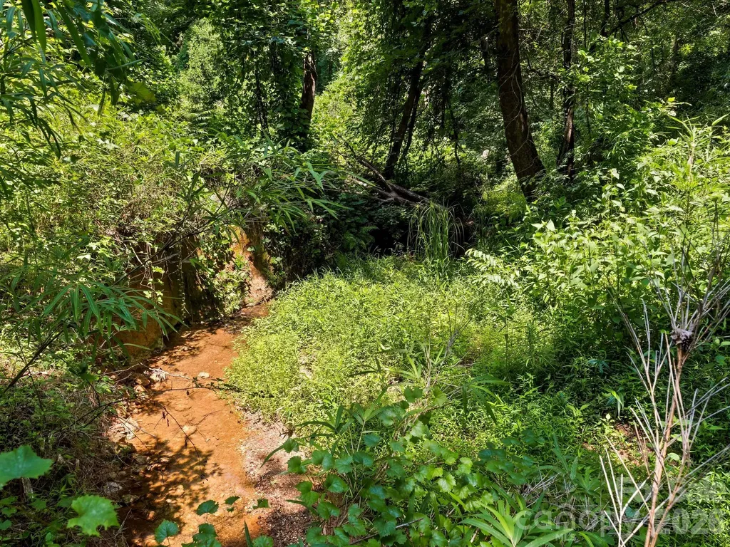 1541 Sandy Springs Road Rutherfordton NC 28139