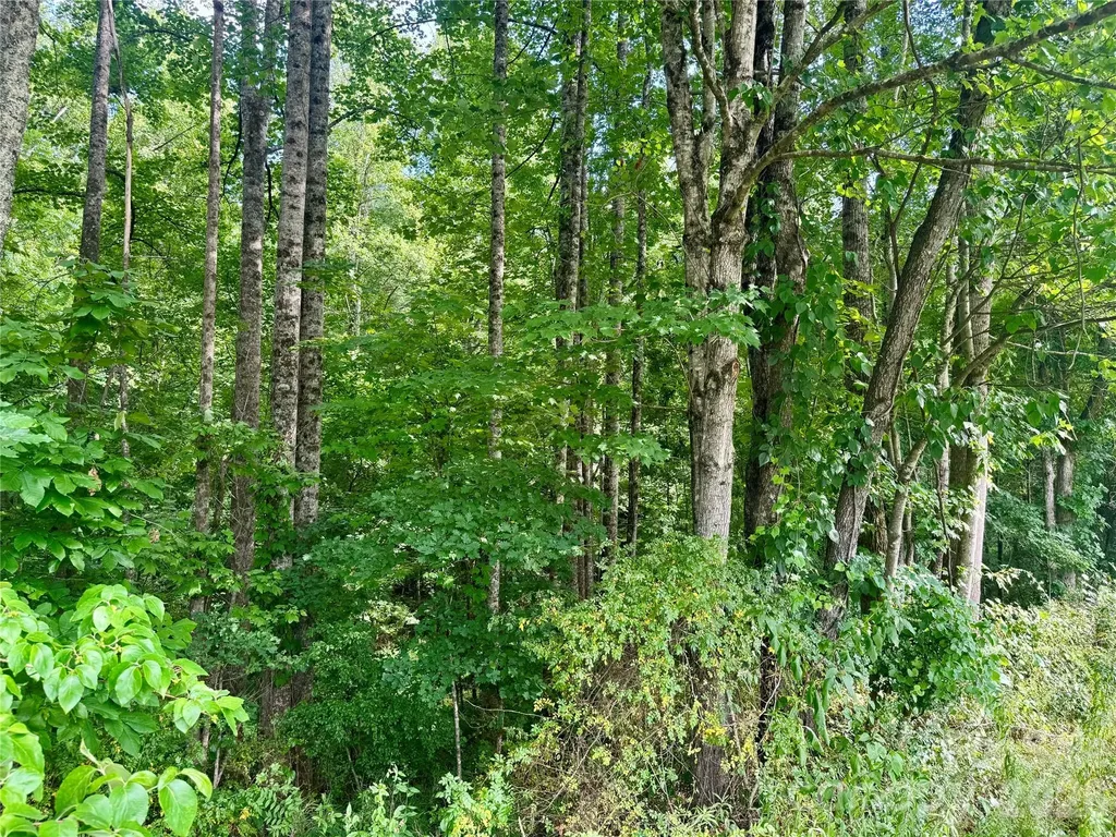 2874 Huffman Road Lenoir NC 28645