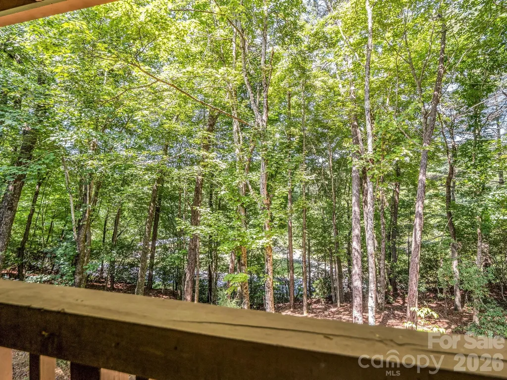 2760 Ugugu Drive Brevard NC 28712