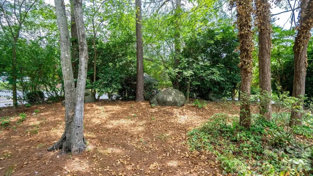 2703 Quailrush Road Charlotte NC 28226
