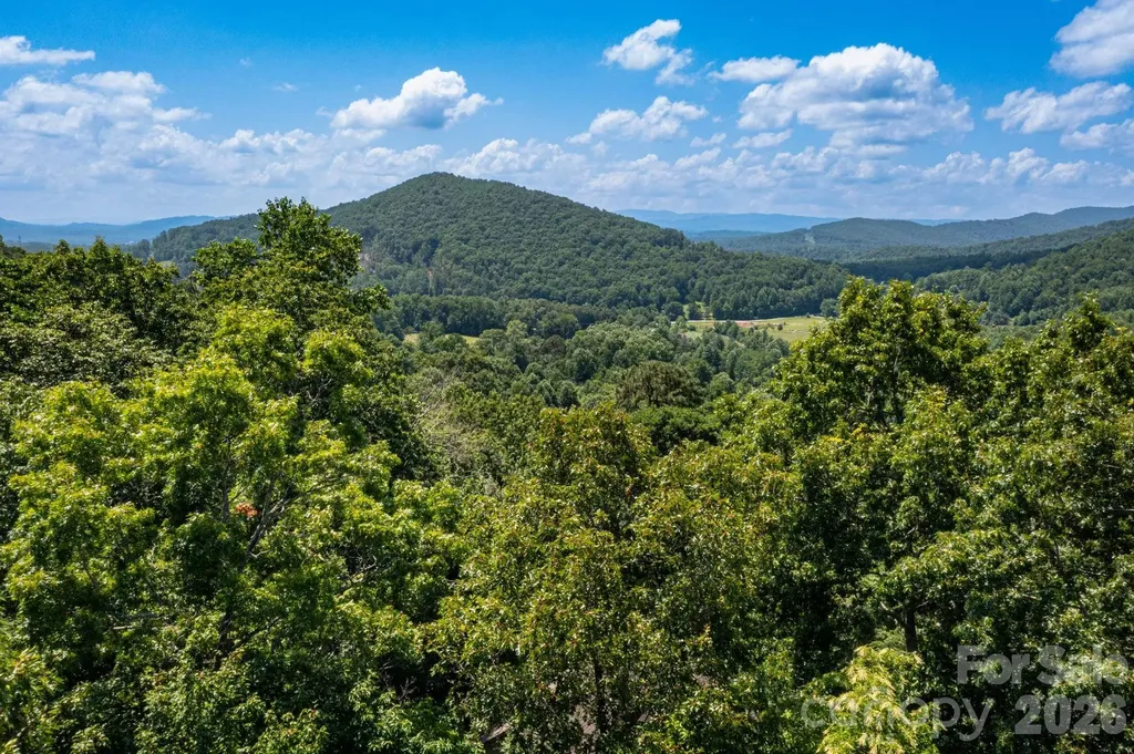 50 Cedar Drive Mills River NC 28759