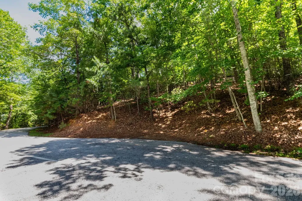 50 Cedar Drive Mills River NC 28759