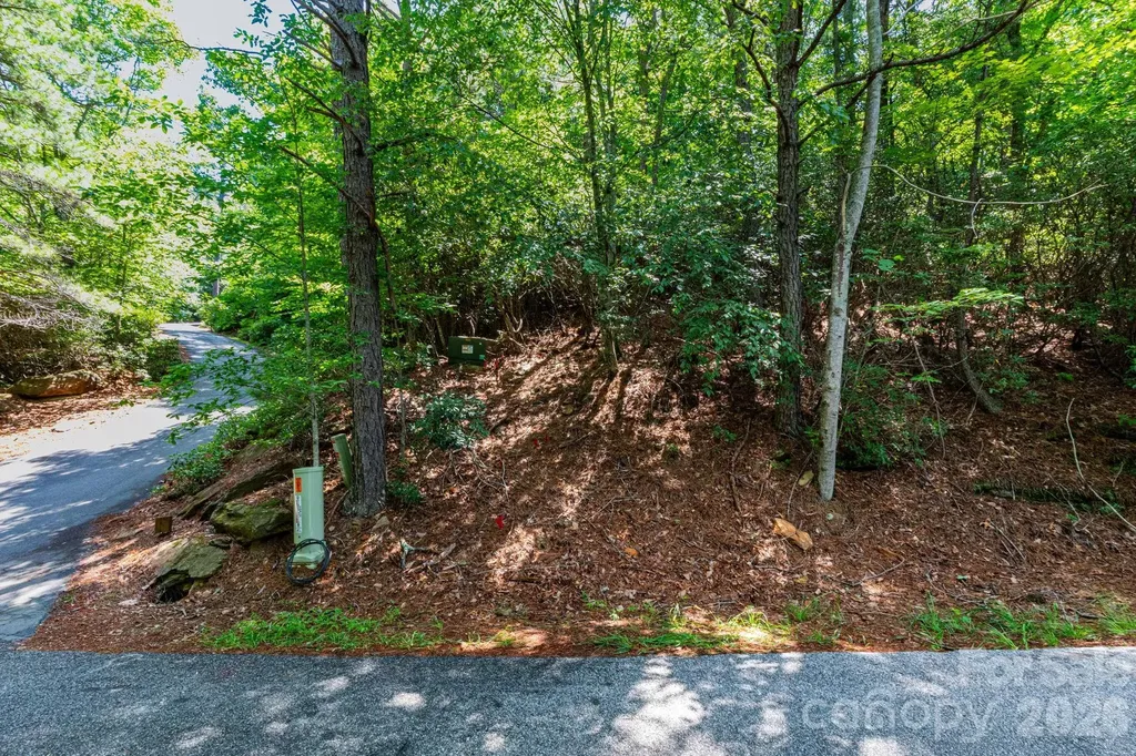 50 Cedar Drive Mills River NC 28759